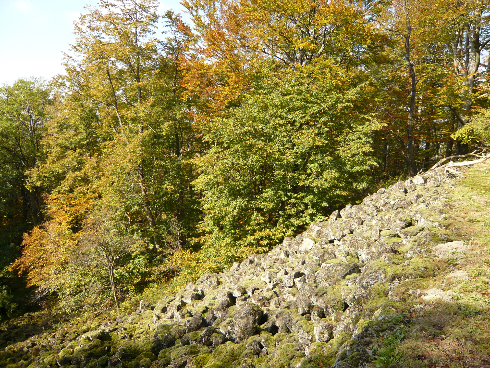 Rhön-Rundweg 1 Schwarze Berge - rhönführer.de